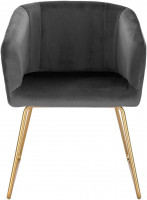 2er Set Küchenstuhl Polsterstuhl Wohnzimmerstuhl Sessel aus Samt Metall Beine