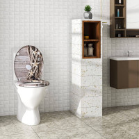 Quick Release Toilet Seat with Soft Close for Bathroom