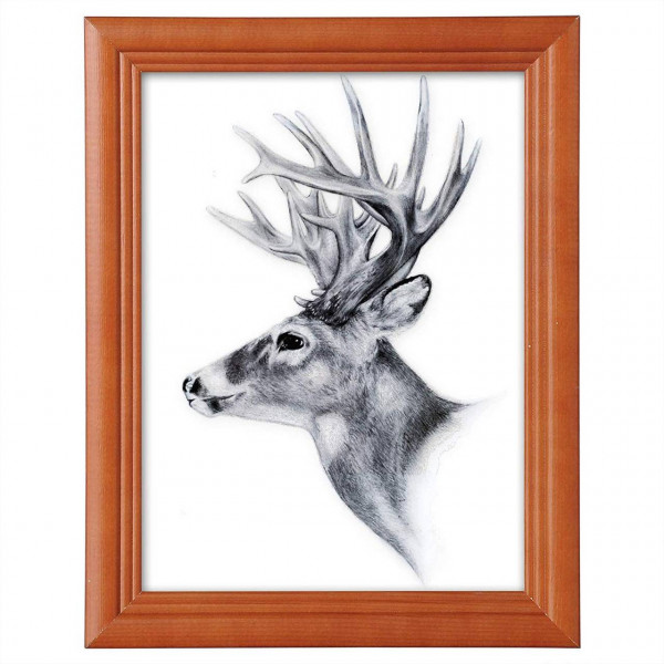 Picture frame photo gallery, wooden frame, glass panel, Artos style