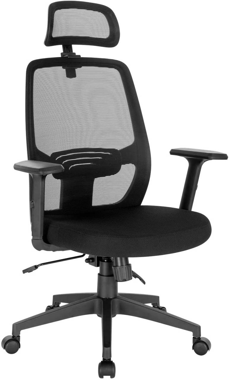 LENTIA Bürostuhl aus Netzstoff Schreibtischstuhl ergonomischer Drehstuhl Stabiler Computerstuhl mit verstellbaren Armlehnen und Lendenwirbelstütze schwarz Schwarz2