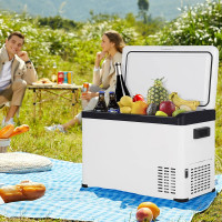 Kühlbox Kühltruhe Warmhaltebox 30 L für Auto & Camping