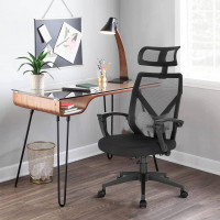 Ergonomic Home Office Chair, Breathable Mesh Lumbar Spine Support High Back Chair, Reclining Function