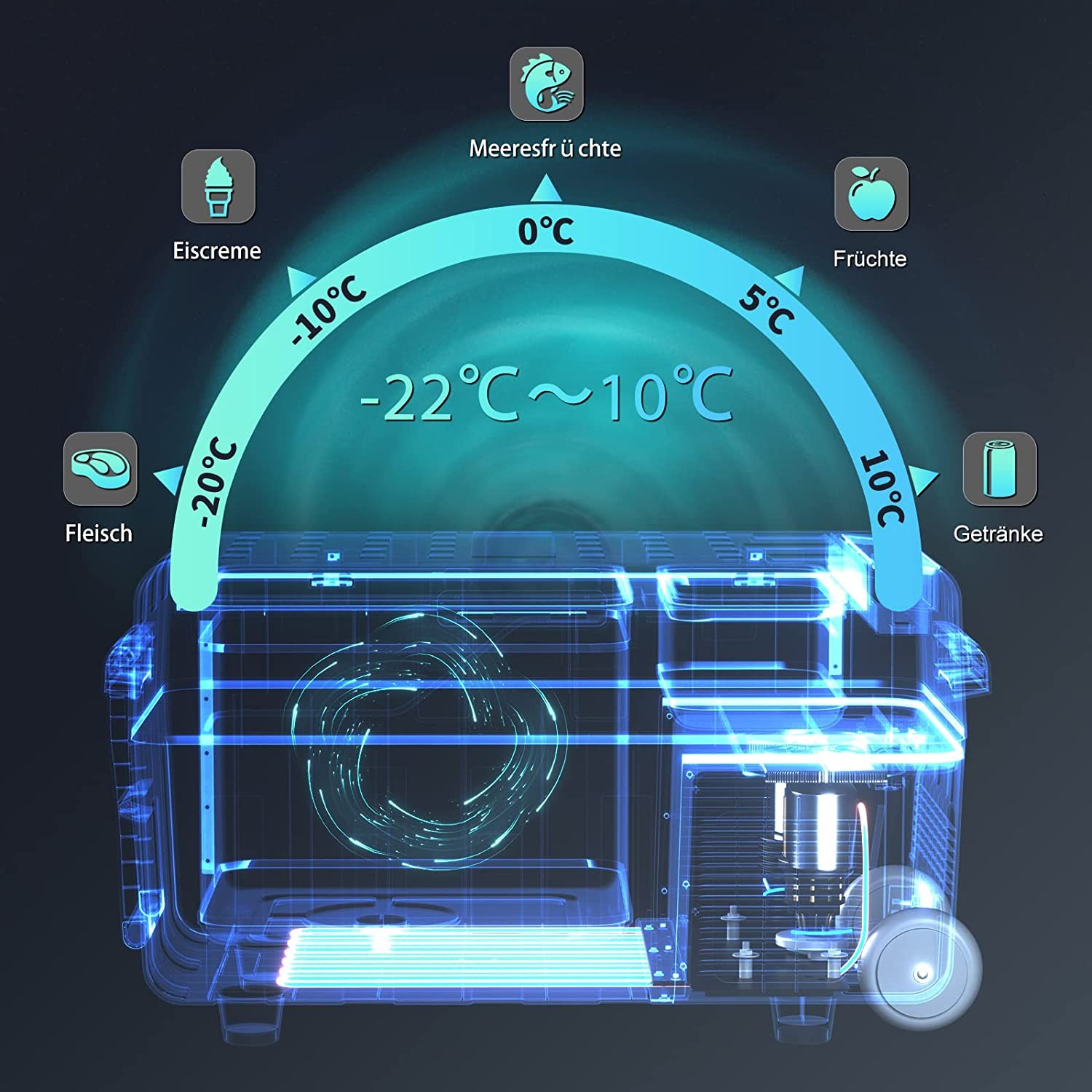 WOLTU Adaptateur Secteur AC pour Mini Frigo, Câble d'alimentation pour  Glacière Électrique, Convertisseur de Tension Portable pour Un Usage  Domestique, 2,1m : : Gros électroménager