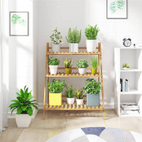 Plant shelves made of bamboo with shelves