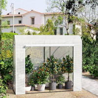 WOLTU greenhouse, winterproof, with door 2 windows, steel tube PE, 170x68x200cm, white